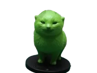 圆头猫