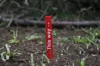Ground stick sign with text (AMS)