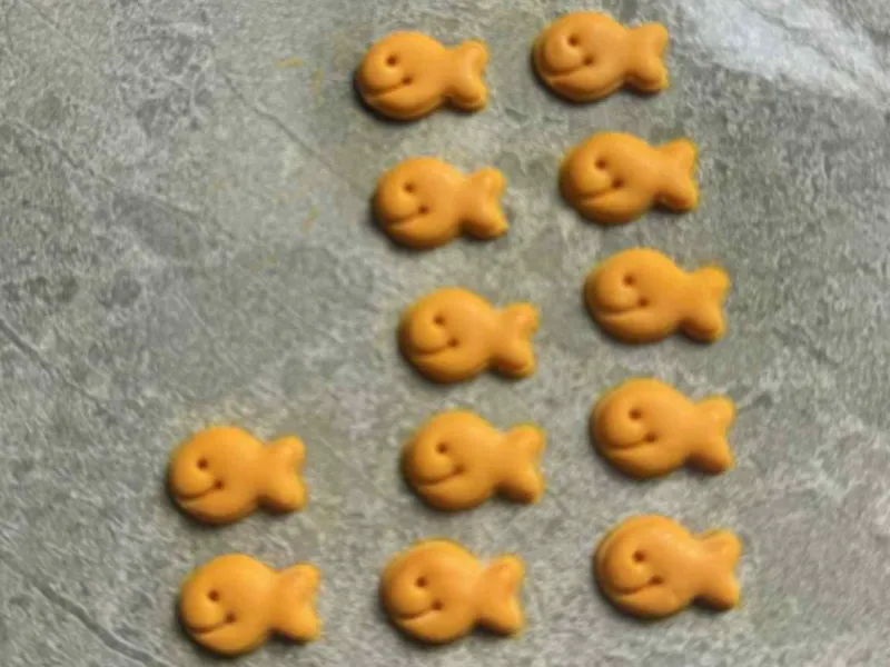 Goldfish Cutter for Polymer Clay Stud Earrings