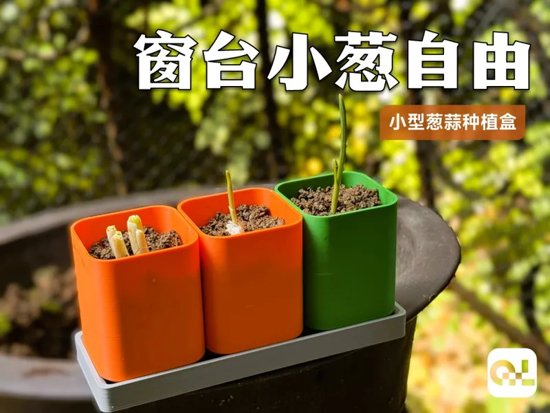 窗台小葱自由-葱蒜种植花盆-蔬菜也是园艺