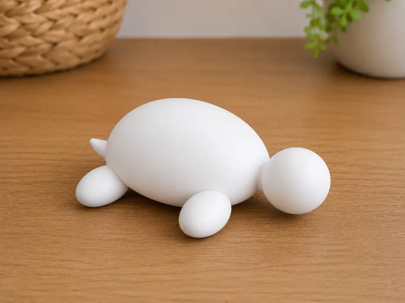A White Turtle 