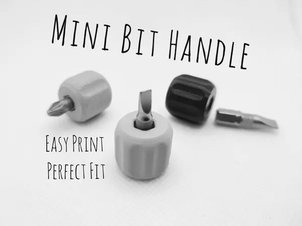 https://makerworld.bblmw.com/makerworld/model/US3441e825b86448/design/2024-01-18_2637299af571.jpg