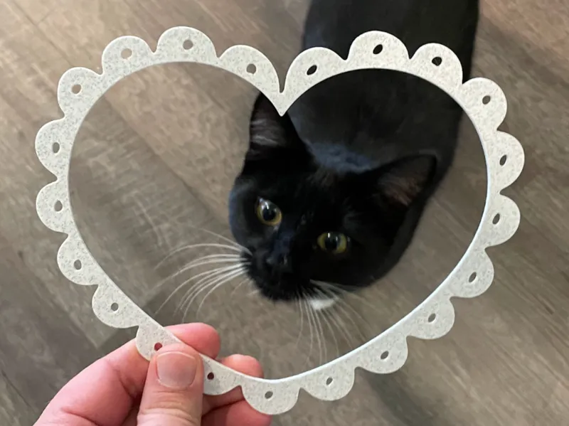 Scalloped Heart Trace Guide