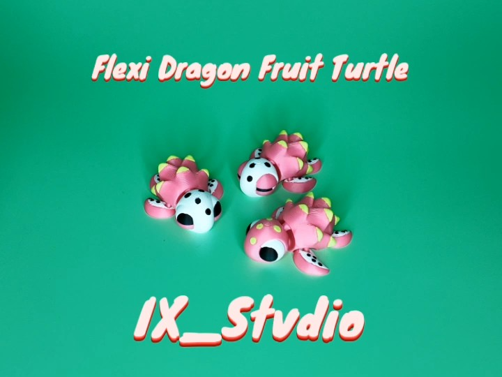 Flexi dragonfruit turtle