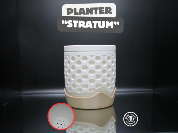 https://makerworld.bblmw.com/makerworld/model/US344b8af649fdf8/design/2025-05-17_dccfab8b923b1.jpg