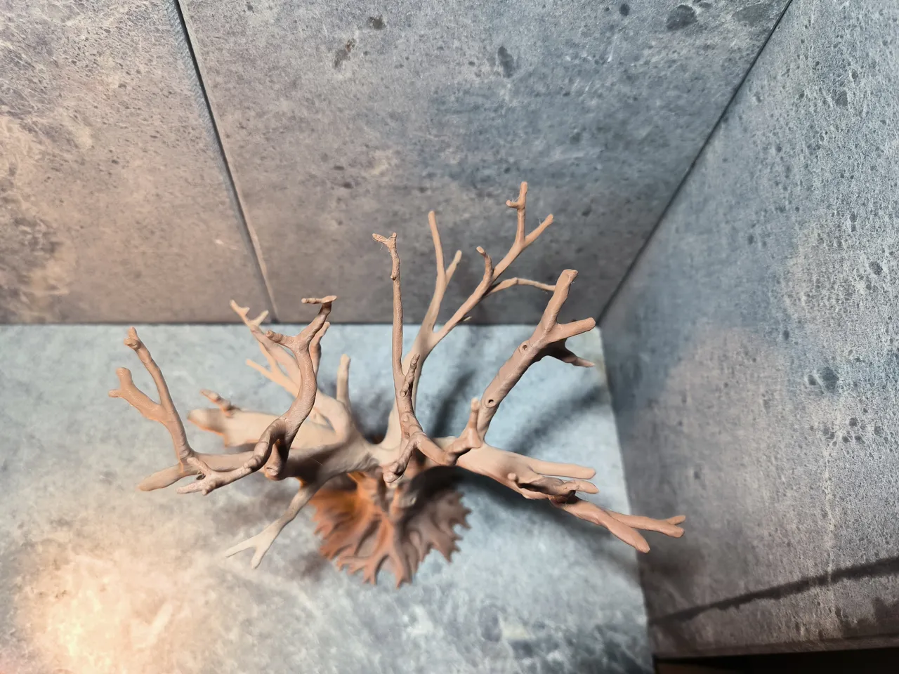Alter teilweise abgestorbener Baum - 11/15/18 cm view 4