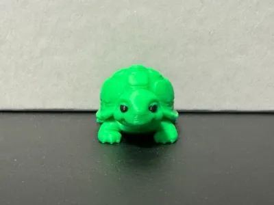 Turly - Cute little Turtle