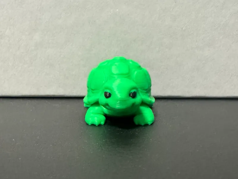 Turly - Cute little Turtle