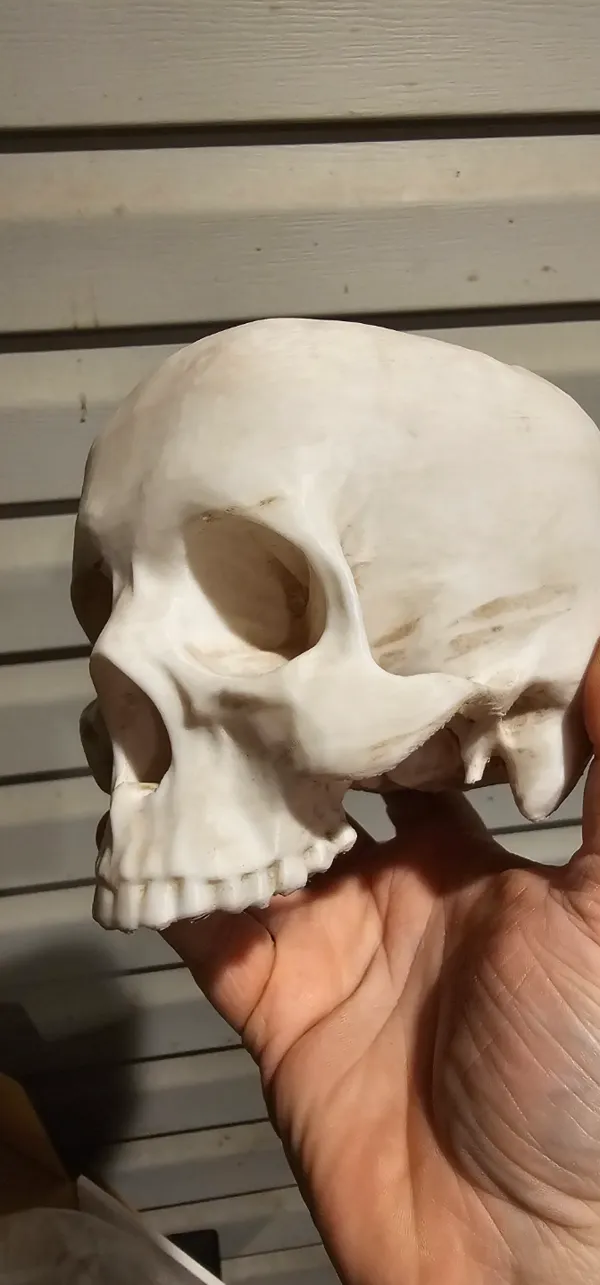 https://makerworld.bblmw.com/makerworld/model/US345a6dd9dc7a6a/design/2024-01-12_3e0c3a057ff03.jpg