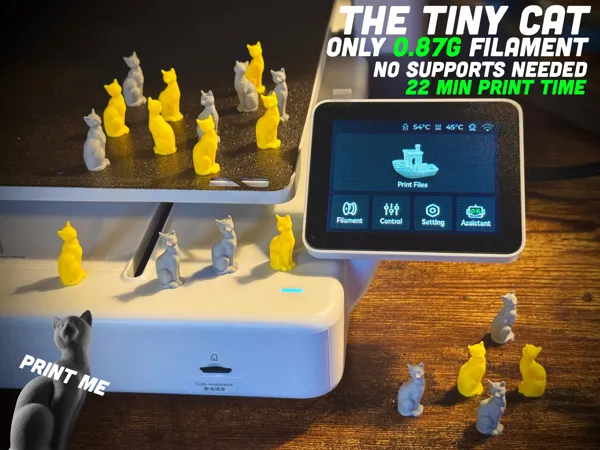 https://makerworld.bblmw.com/makerworld/model/US3462da89f476a5/design/2025-05-23_3c70b5317a89e.jpg