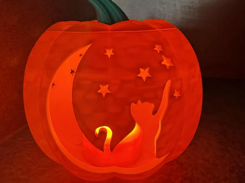 Cat moon and stars pumpkin
