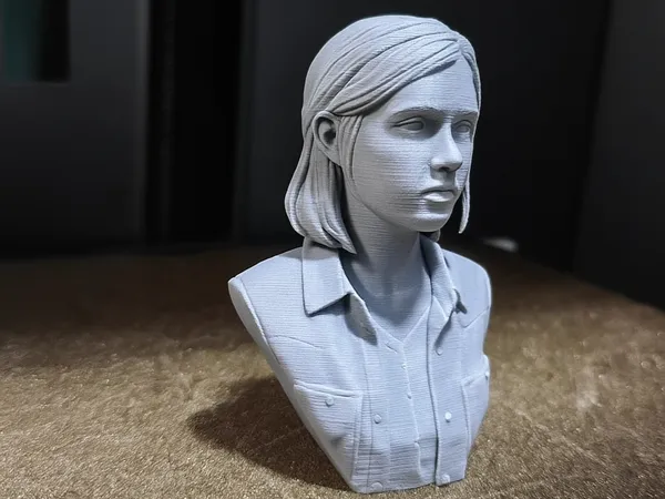 https://makerworld.bblmw.com/makerworld/model/US3469b542913b0f/design/2025-07-09_40f5637520535.png