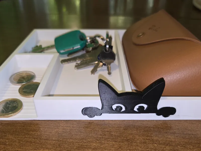 Cat Empty pockets