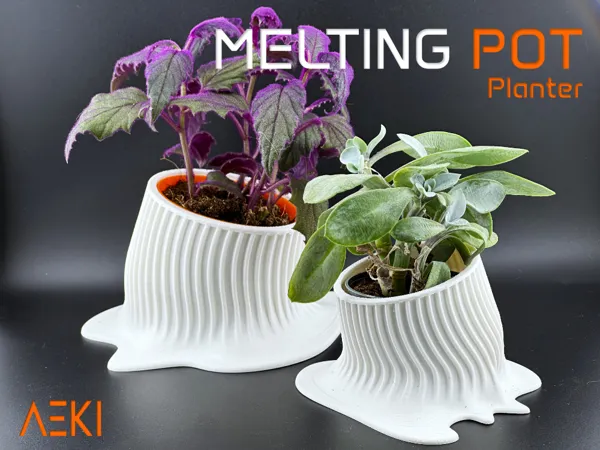 https://makerworld.bblmw.com/makerworld/model/US347f3b9eb30d76/design/2024-08-20_4c3e8fc2208a.jpg
