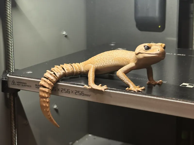Gecko The Big Fella With Articulated Tail