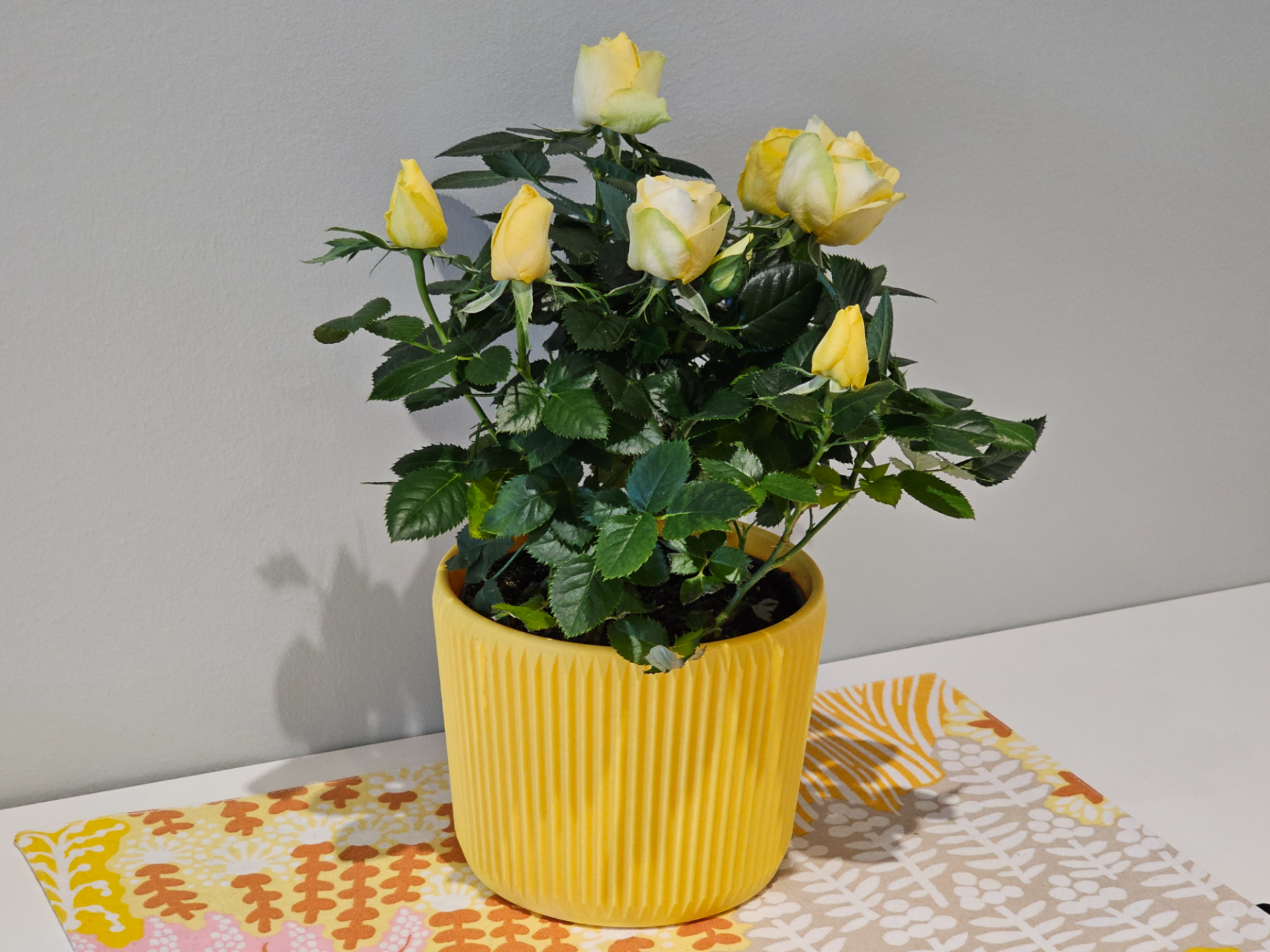 Simple Vase