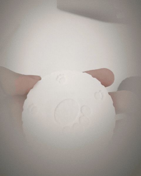 Cat Paw Ratchet Fidget