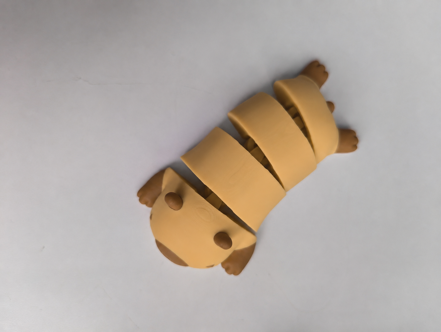 Foto 3