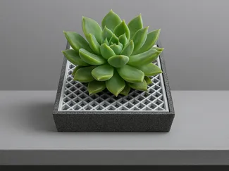 Succulent - plant moisture tray or plant pot