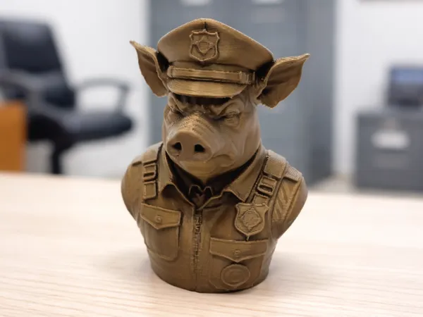 https://makerworld.bblmw.com/makerworld/model/US348572f638fac4/design/2025-12-23_8b65647a0088c8.png