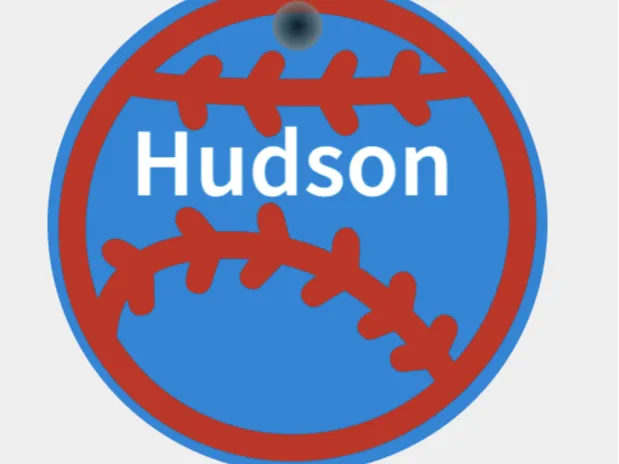 Hudson Baseball Tag