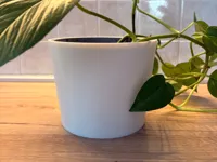 0.2mm layer, 3 walls, 15% infill