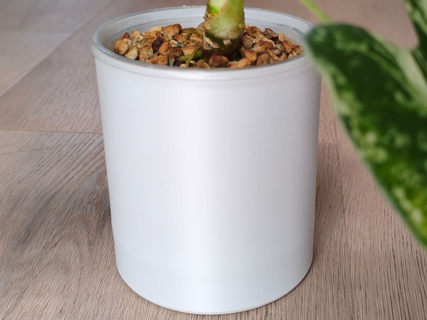 Simple low filament plant pot 9cm