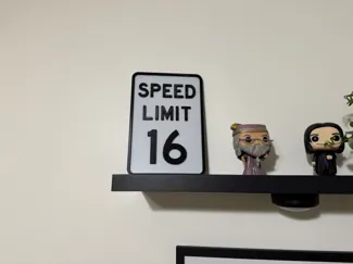 "SPEED LIMIT SIGN"