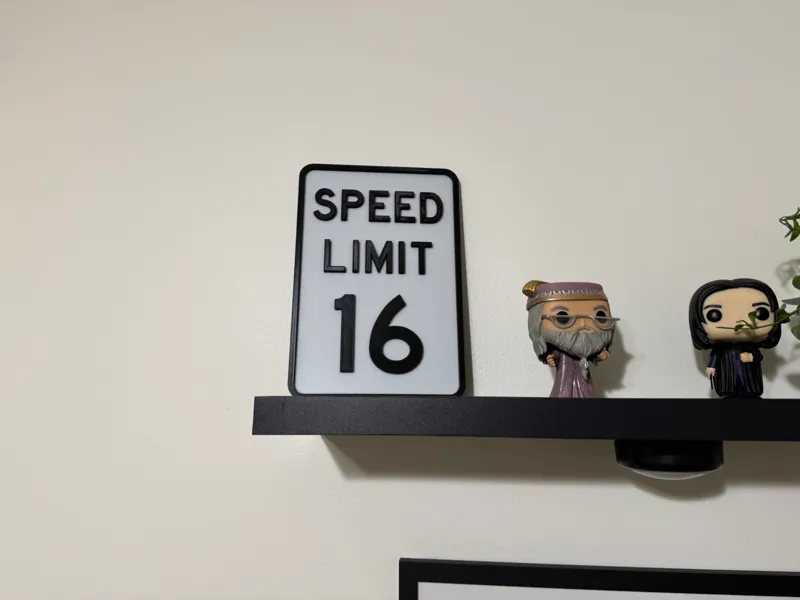 "SPEED LIMIT SIGN"