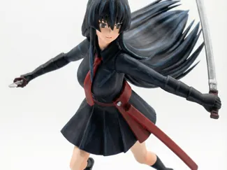 Akame from Akame ga Kill!