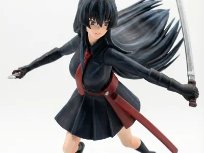 Akame from Akame ga Kill!