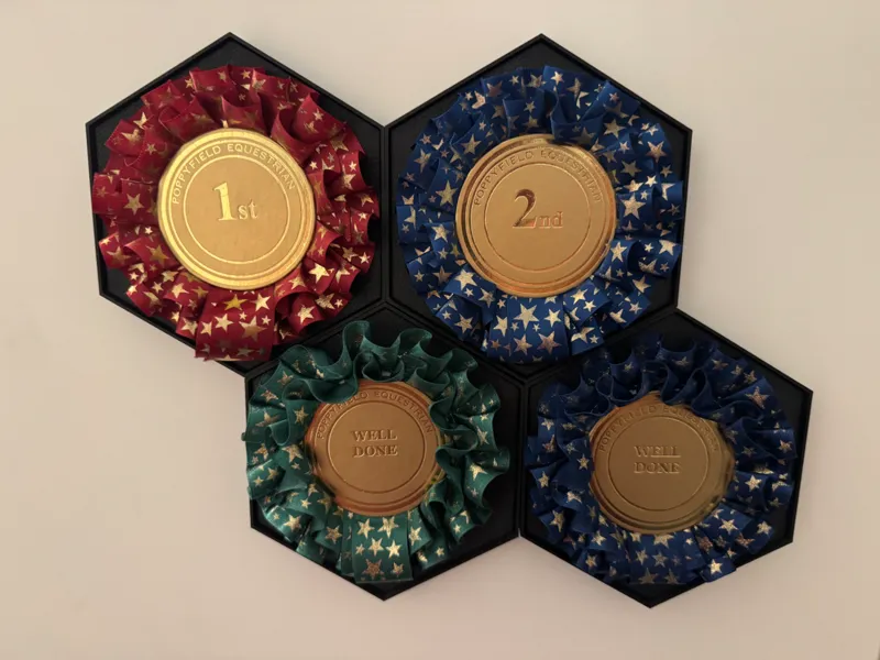 Rosette Wall Display Mount