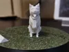 0.12mm layer, 2 walls, 10% infill