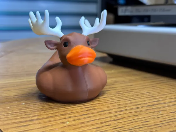 https://makerworld.bblmw.com/makerworld/model/US3496f4218abc15/design/2025-03-31_b24ec65daff17.jpg