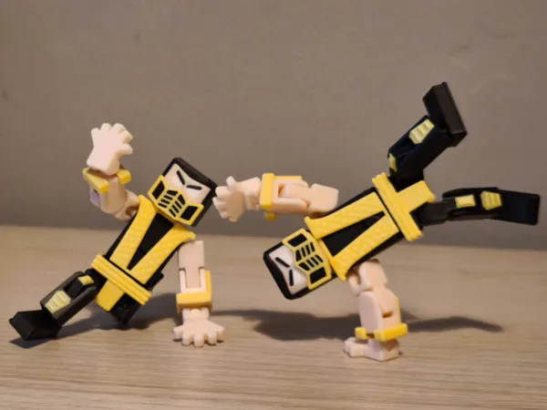 https://makerworld.bblmw.com/makerworld/model/US349c062b7af05e/design/2025-12-19_b42f3432227fd.jpg