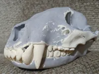 0.2mm layer, 2 walls, 5% infill