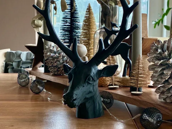 https://makerworld.bblmw.com/makerworld/model/US349fe3270855ff/design/2025-12-25_4a9762ca43b68.jpeg