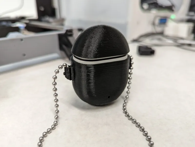 Pixel Buds Neck Carry Case