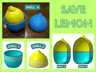 SAVE LEMON
