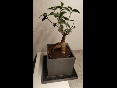 Plant Pot - Square Plant Pot with Saucer