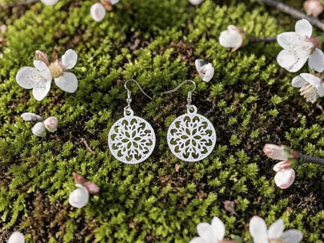 Ice crystal in the circle earrings