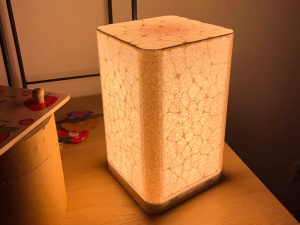 https://makerworld.bblmw.com/makerworld/model/US34a87d78960ef9/design/2024-10-04_e923e325dfd098.jpg