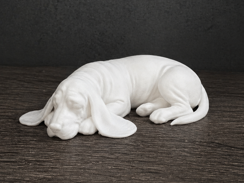 Sleeping Basset Hound - Cute decor - Animal - Dog