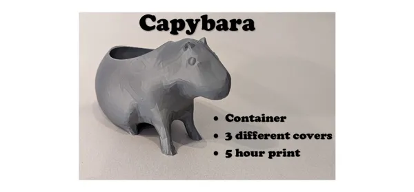 https://makerworld.bblmw.com/makerworld/model/US34ada35eafab3c/design/2024-02-11_21d9837a3a2318.jpg