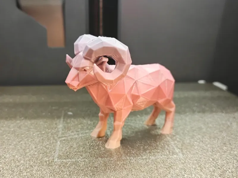 低边形公羊