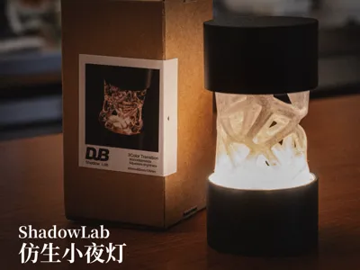 Bionic Night Light