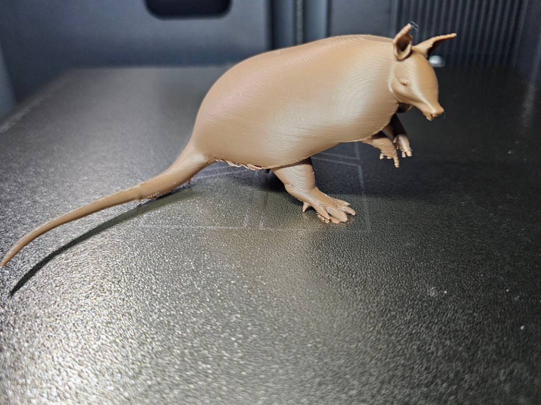 Armadillo Gürteltier 2 - Tiere aus aller Welt