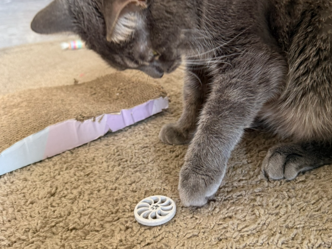 Cat Swatting Puck Toy