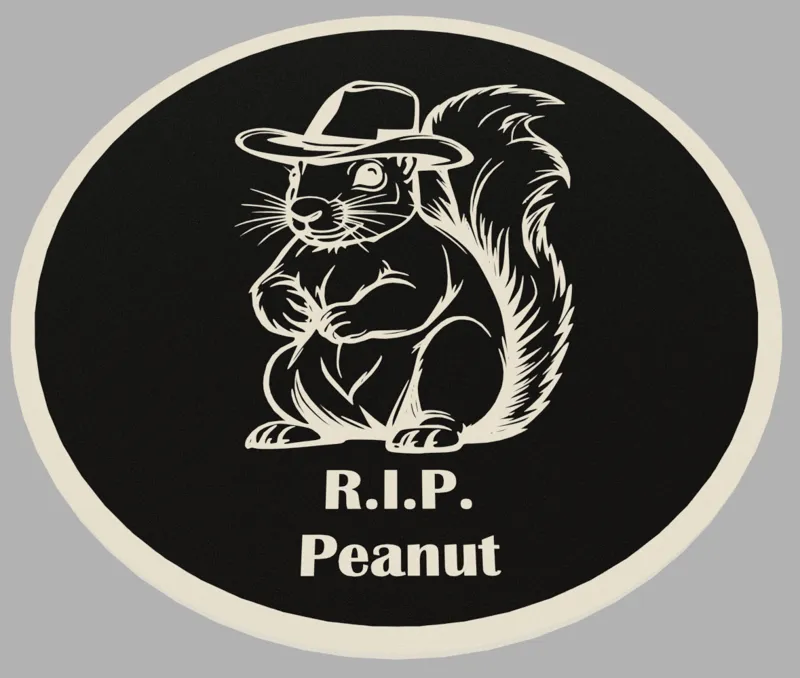 Peanut the squirrel coaster
