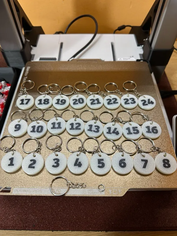 https://makerworld.bblmw.com/makerworld/model/US34b3c61102a207/design/2024-01-24_a2e2eac10aa07.jpg